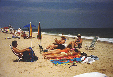beacha.jpg - 35732 Bytes