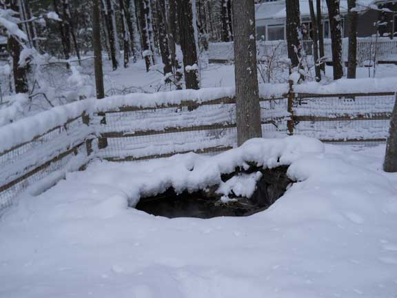 snow-04