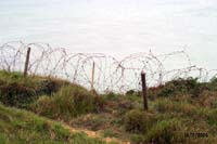 066-La-Pointe-du-Hoc-2006- 